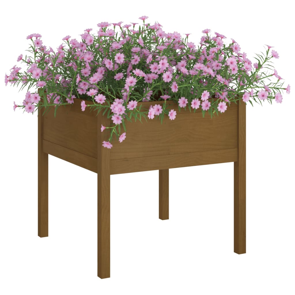 Plantadores Vidaxl 2 ST 70x70x70 cm de pino sólido marrón marrón