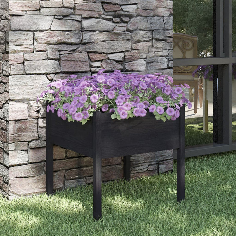 Casella di pianificazione Vidaxl 70x70x70 cm Pino solido nero