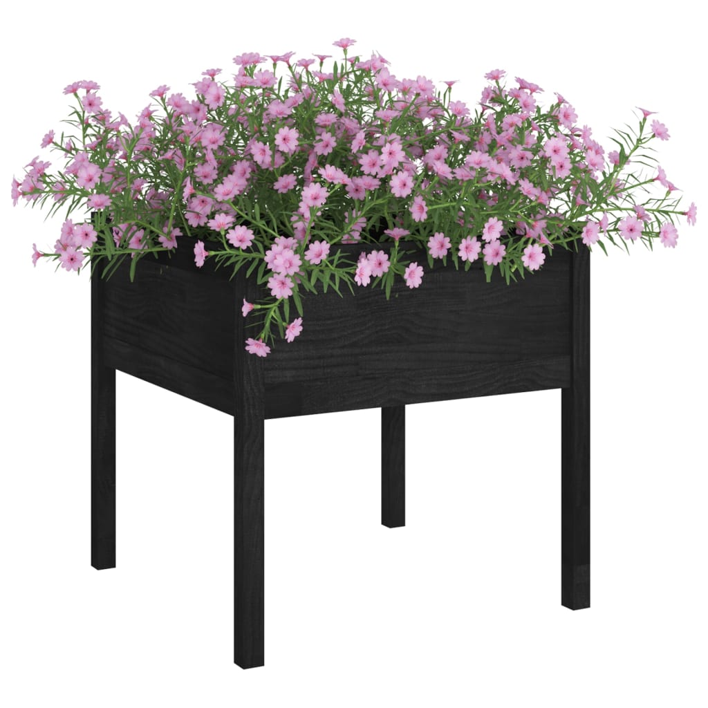 Plantadores Vidaxl 2 ST 70x70x70 cm Solid Pine Negro