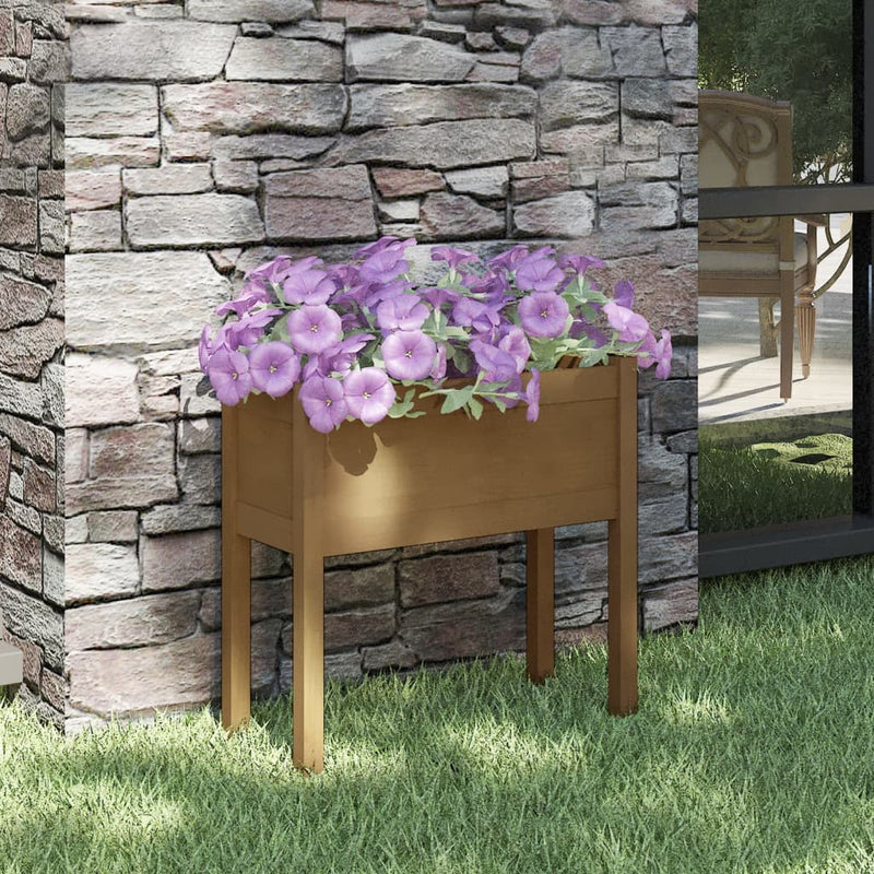 Casella di pianificazione Vidaxl 70x31x70 cm Miele di pino solido