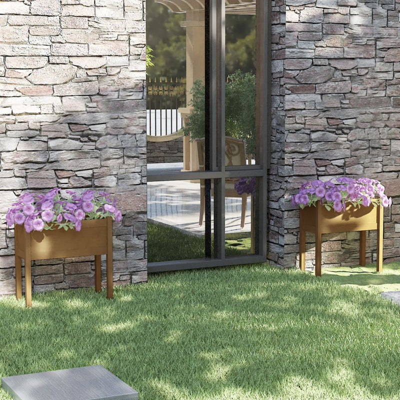 Vidaxl fioriere 2 ST 70x31x70 cm Miele di pino solido marrone