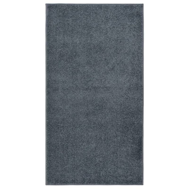VIDAXL RUG KORTPOLIG 80X150 cm antracite