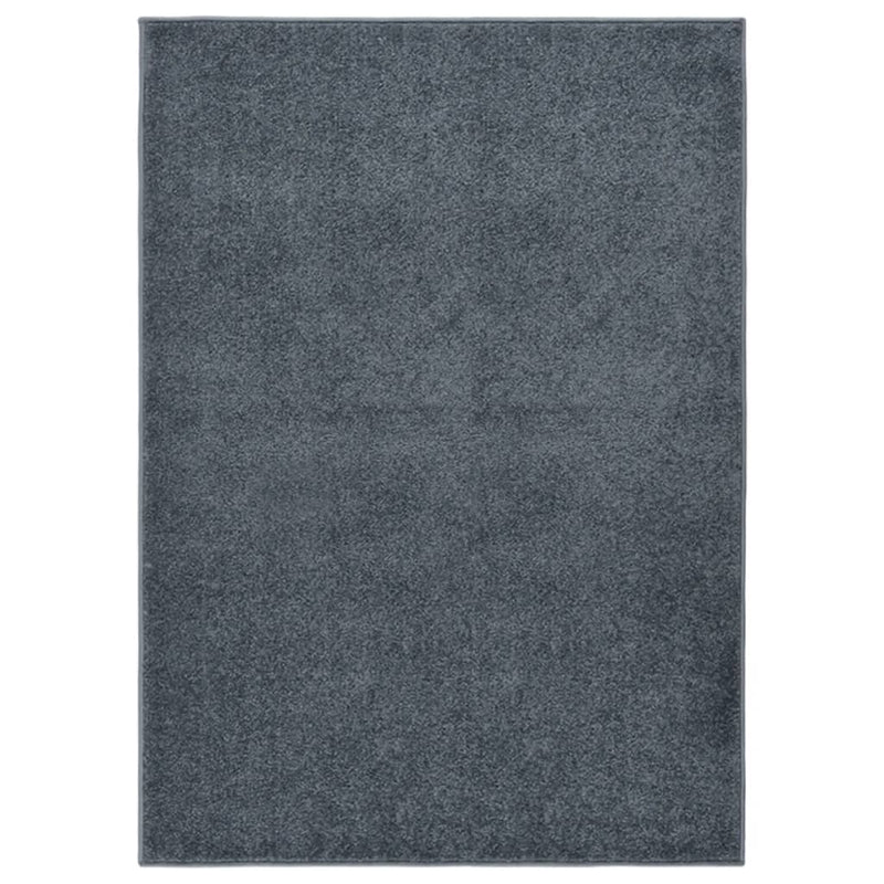 VIDAXL RUAM KORTPOLIG 140x200 cm antracite