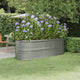 Vidaxl Planning Box 224x80x68 cm en polvo -acero cubierto de plata de color