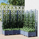 Vidaxl Planning Box con Slat Work 120x120x121.5 cm Polypropene Dark Grey