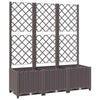 Vidaxl plantenbak met trellis bruin 120x40x136 cm pp