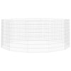 Vidaxl Animal Set 12 pannelli da ferro zincato 54x80 cm