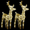 Vidaxl Animali di Natale 2 ST 80 LED ACRILICO BIANCO CALDO