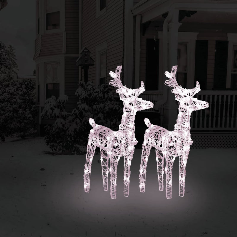 Vidaxl kerstrendieren 2 st 80 led's acryl warmwit