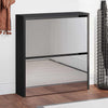 Gabinete de zapato Vidaxl con espejo 2 capas 63x17x67 cm negro