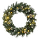 Vidaxl Christmas Greath con luci a LED 60 cm PVC Verde