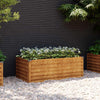 Vidaxl fioriera raccolta 100x50x36 cm Cortenstaal