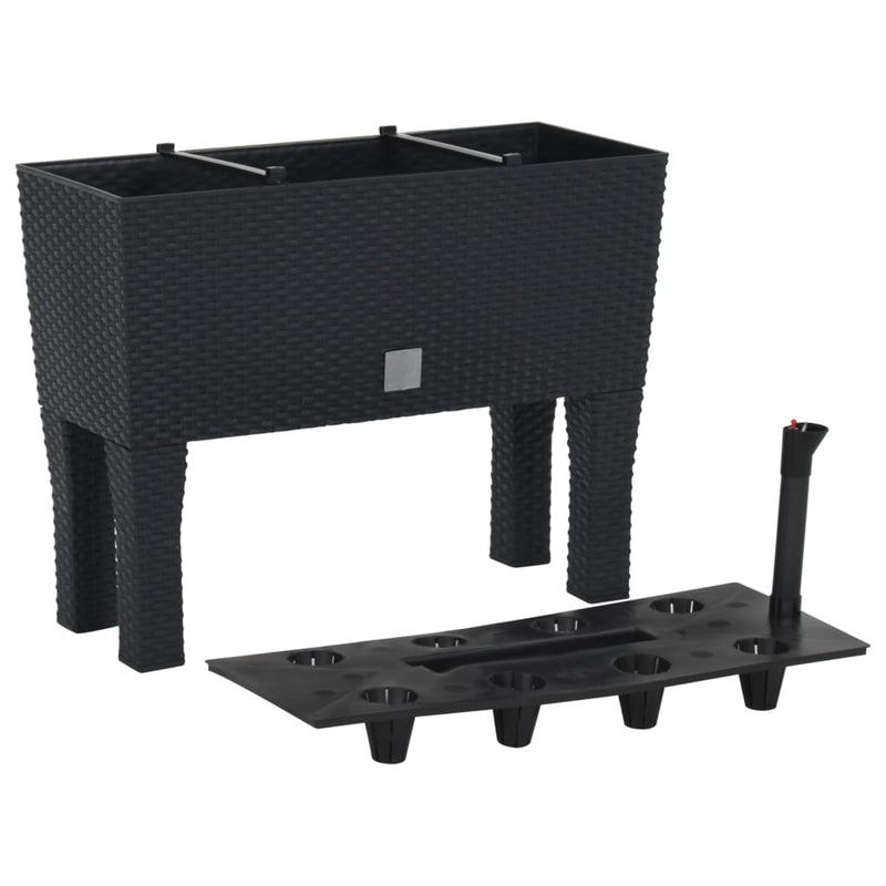 Plantador Vidaxl elevado 60x25x46 cm pp rattan antracita