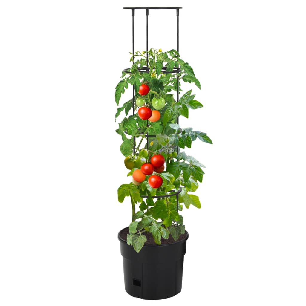 Jar de cría de tomate Vidaxl Ø29.5x115 cm polipropen antracita