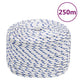 VIDAXL SCOOD ROPE 6 MM 250 M Polypropilene bianco
