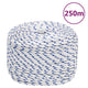 Vidaxl boot touw 8 mm 250 m polypropyleen wit