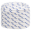 Vidaxl Boat Rope 20 mm 100 m Polypropilene bianco