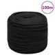 Vidaxl Boat Rope 10 mm 100 m polipropeno negro