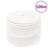 Vidaxl boottouw 12 mm 100 m polypropyleen volwit