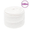 Vidaxl boottouw 14 mm 100 m polypropyleen volwit