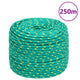 Vidaxl boottouw 6 mm 250 m polypropyleen groen