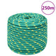 Vidaxl Boat Rope 14 mm 250 m in polipropilene verde