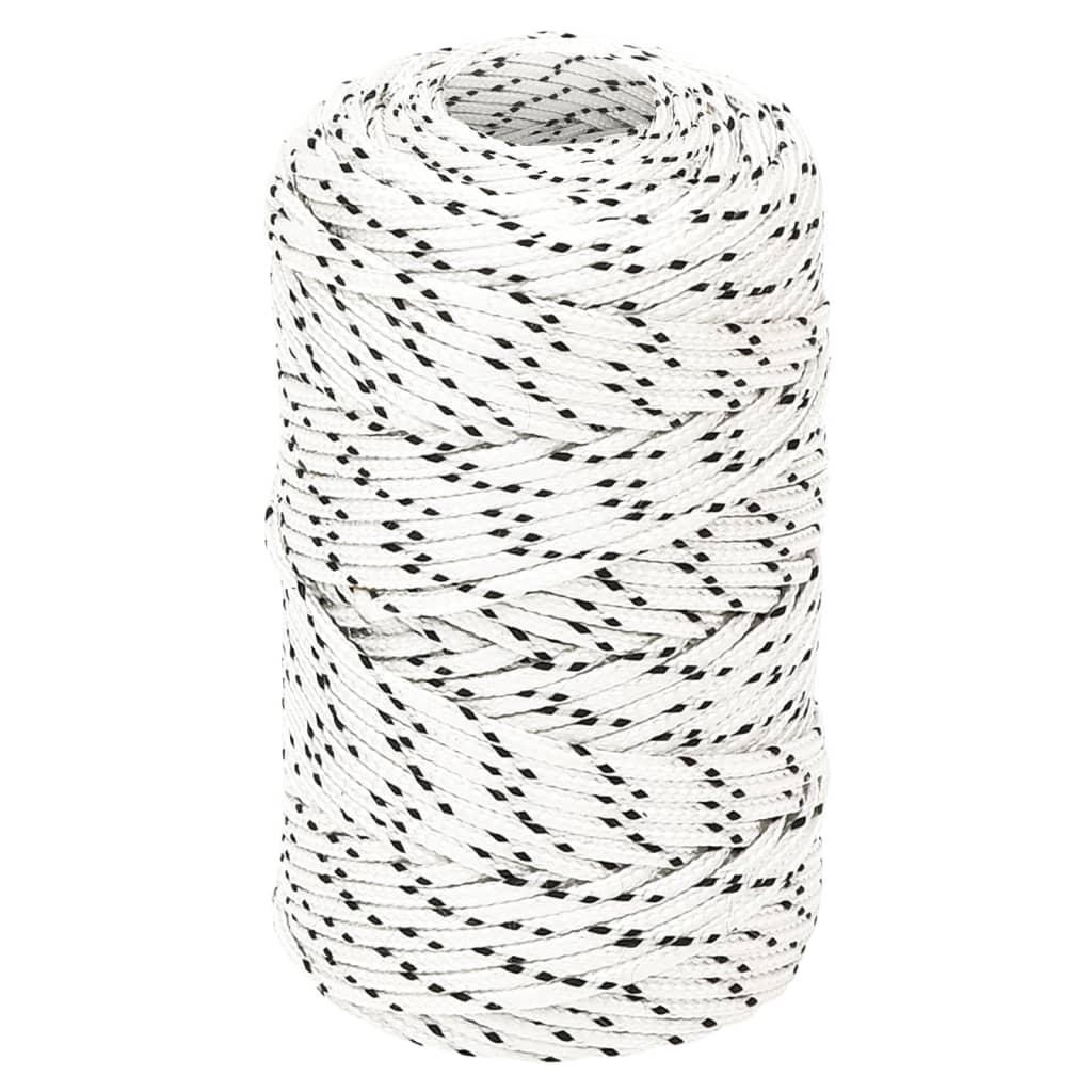 Vidaxl boottouw gevlochten 2 mmx100 m polyester wit