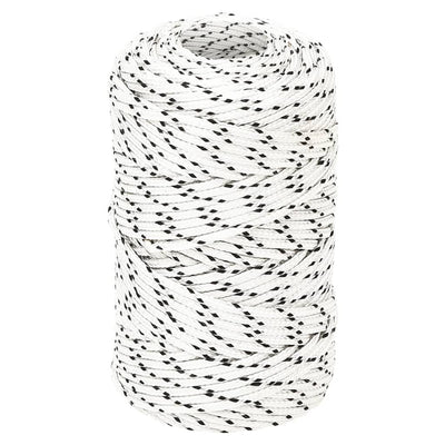 Vidaxl Boat Rope Intrecciata 2 mm x 500 m Polyester White