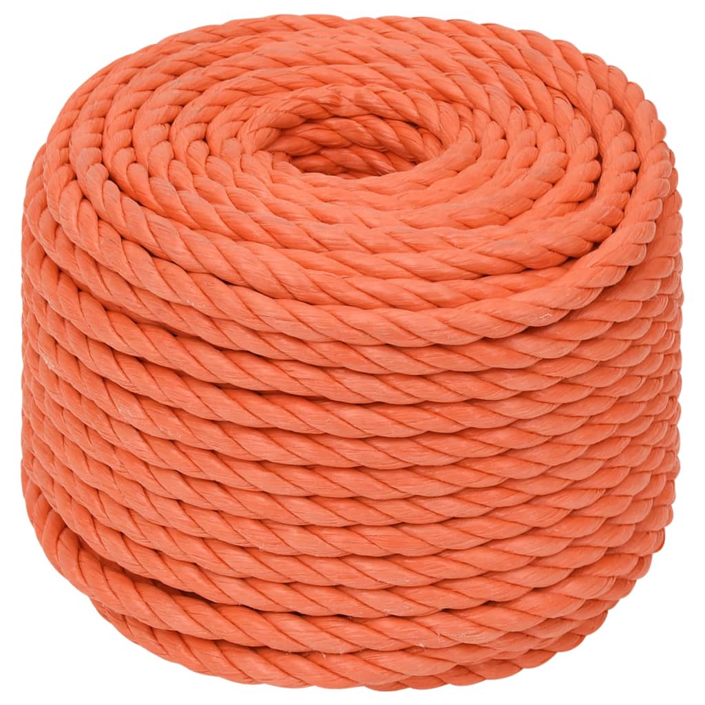Vidaxl Werkouw 10 mm 50 m Polypropene Oranje
