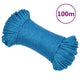 Vidaxl Werkouw 6 mm 100 m blu polipropene