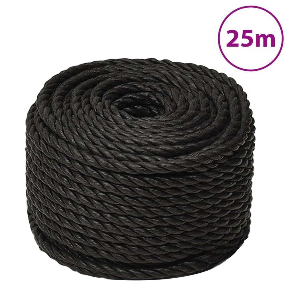 Vidaxl Werkouw 10 mm 25 m Polypropene nero