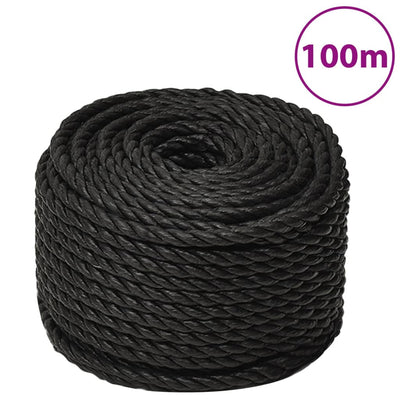 Vidaxl Werkouw 10 mm 100 m polipropeno negro