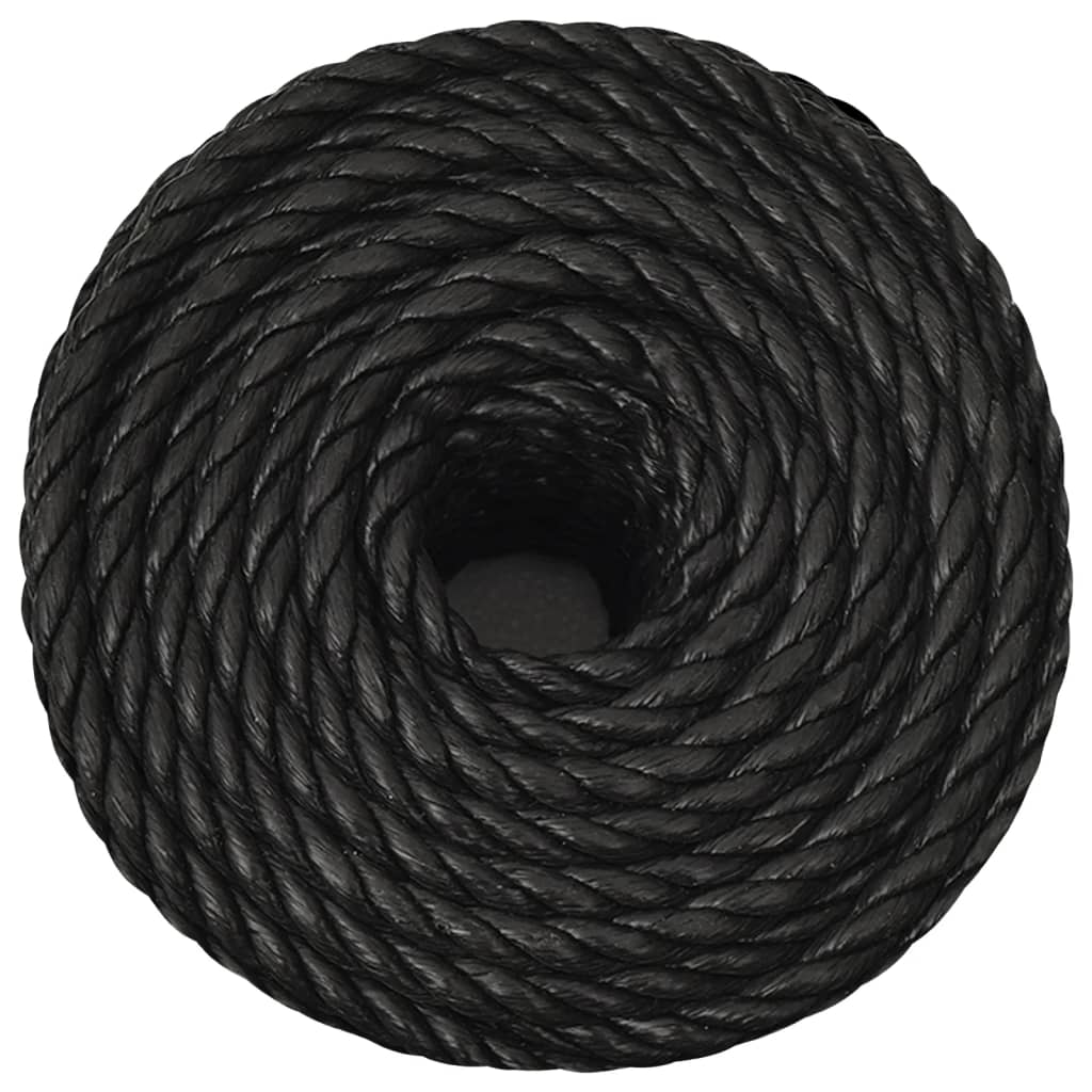 Vidaxl Werkouw 10 mm 250 m Polypropene nero