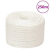 Vidaxl werktouw 10 mm 250 m polypropeen wit