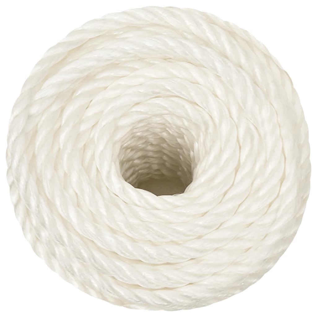 Vidaxl werktouw 12 mm 250 m polypropeen wit