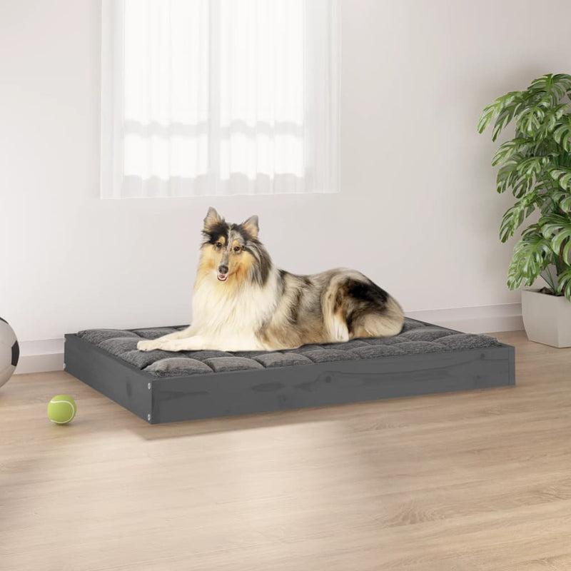 Vidaxl Dog Basket 91.5x64x9 cm grigio pino solido