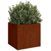 Plantadores Vidaxl 2 ST 42X40X39 CM Cortenstaal