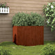 Vidaxl Planning Box 62x47x46 CM Cortenstaal