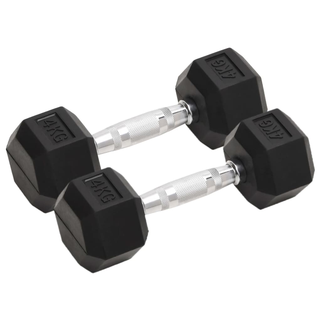 Vidaxl Halters 2 pezzi da 8 kg in ghisa