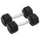 Vidaxl Halters 2 pezzi da 8 kg in ghisa