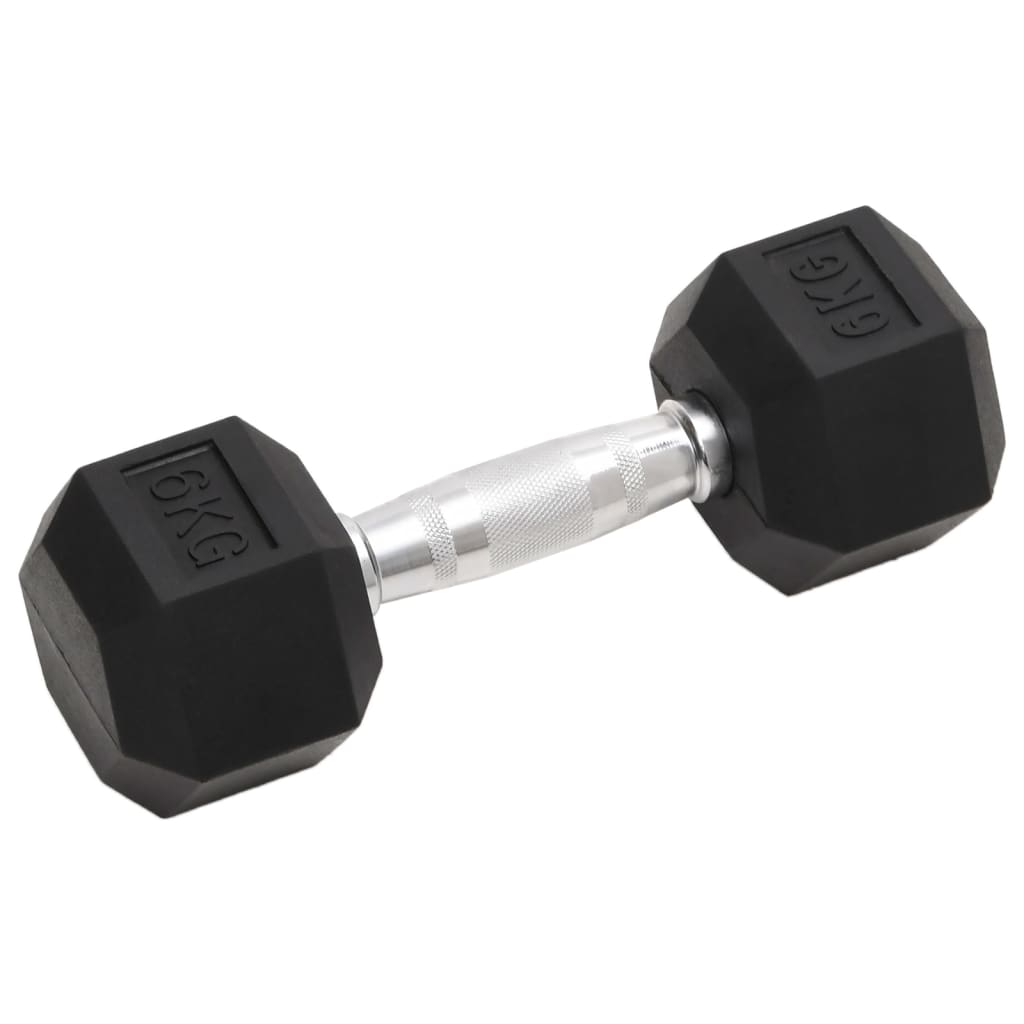 Vidaxl halters 2 st 12 kg totaal gietijzer