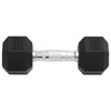Vidaxl halters 2 st 12 kg totaal gietijzer