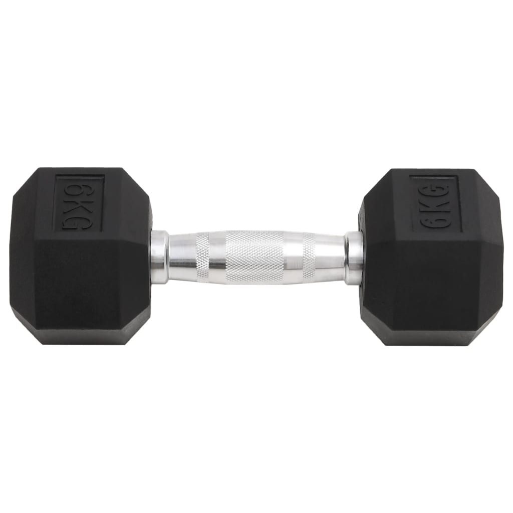 Vidaxl halters 2 st 12 kg totaal gietijzer