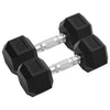 Vidaxl Halters 2 pezzi 16 kg di ghisa