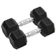 Vidaxl Halters 2 pezzi 16 kg di ghisa