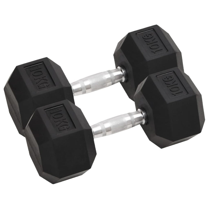 Vidaxl halters 2 st 20 kg totaal gietijzer