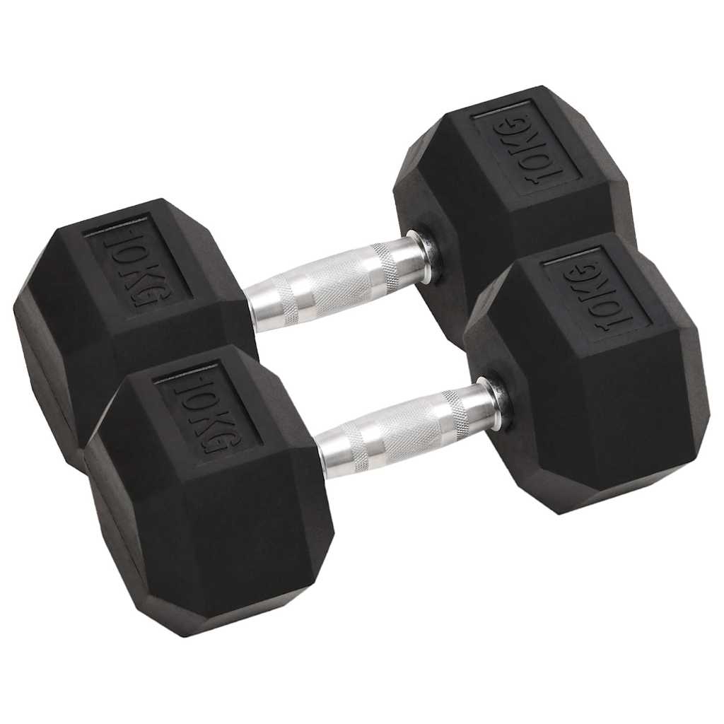 Vidaxl halters 2 st 20 kg totaal gietijzer