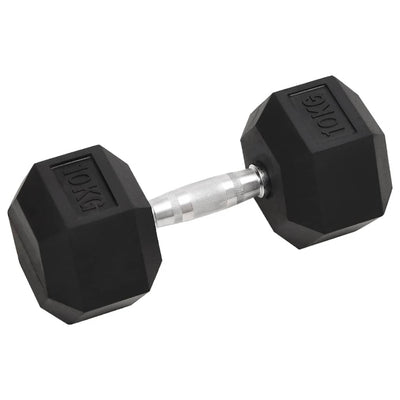 Vidaxl halters 2 st 20 kg totaal gietijzer