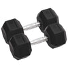 Vidaxl halters 2 st 25 kg totaal gietijzer