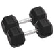 Vidaxl halters 2 st 25 kg totaal gietijzer